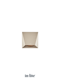 in-lite WEDGE