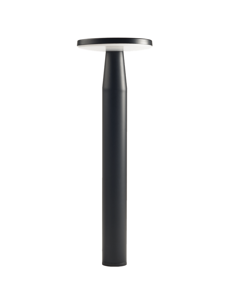 in-lite DISC